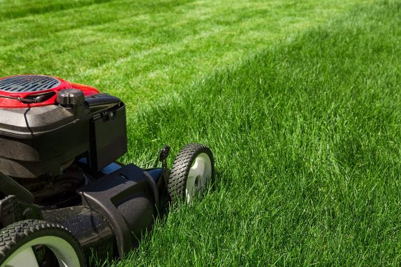 Push Mower