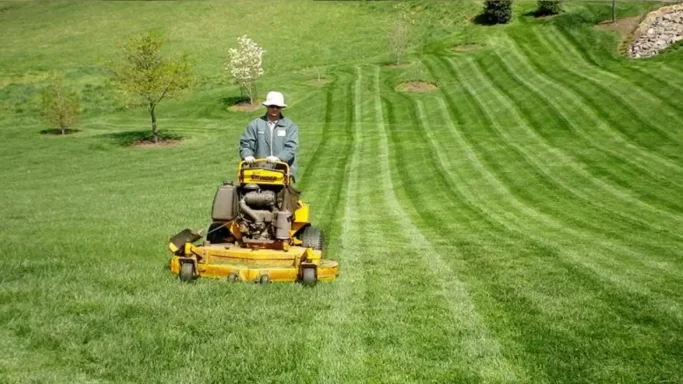Cutting Your Lawn 
